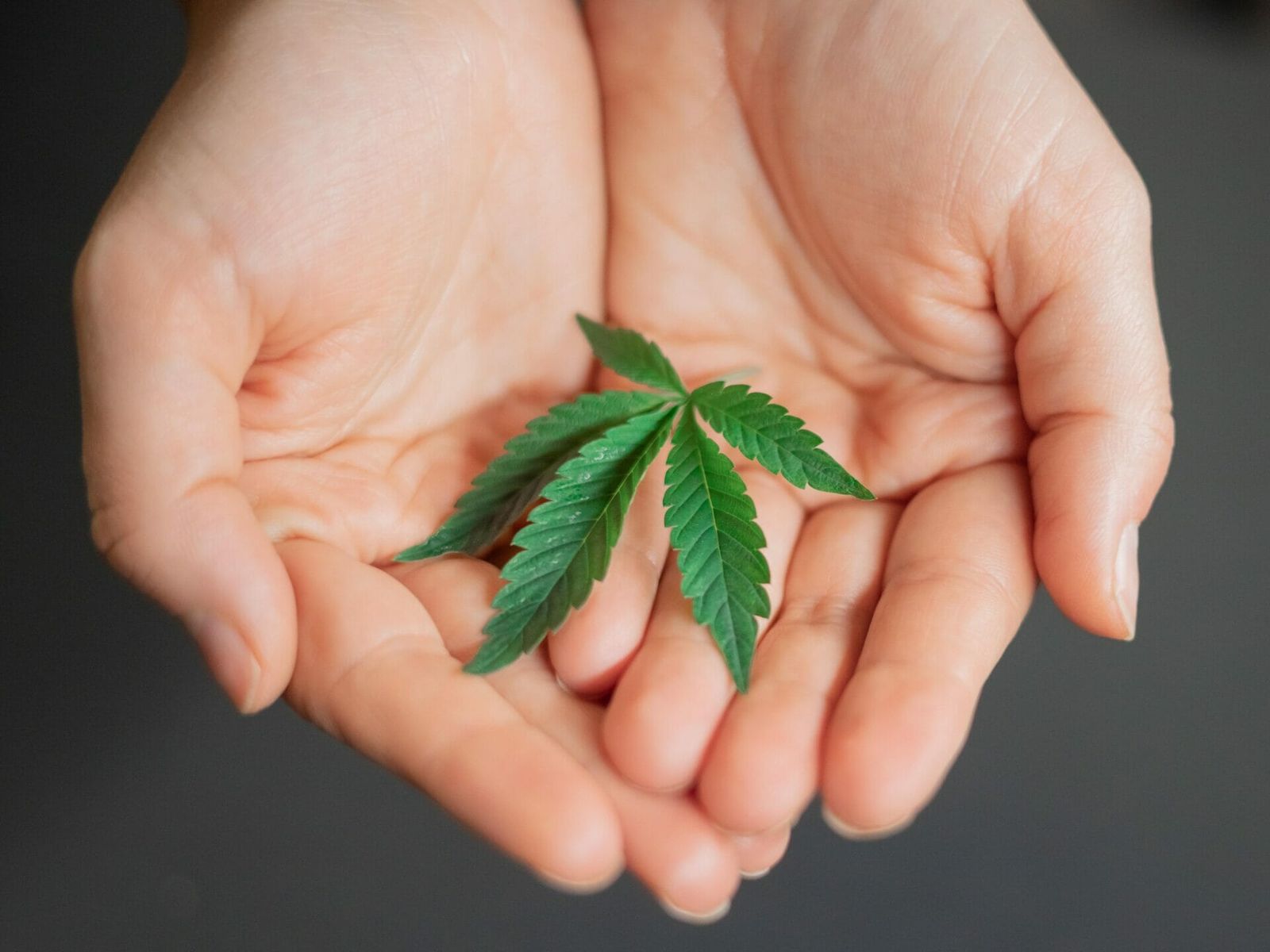 Rechtsfragen zu med. Cannabis, Interview mit Osborne Clarke