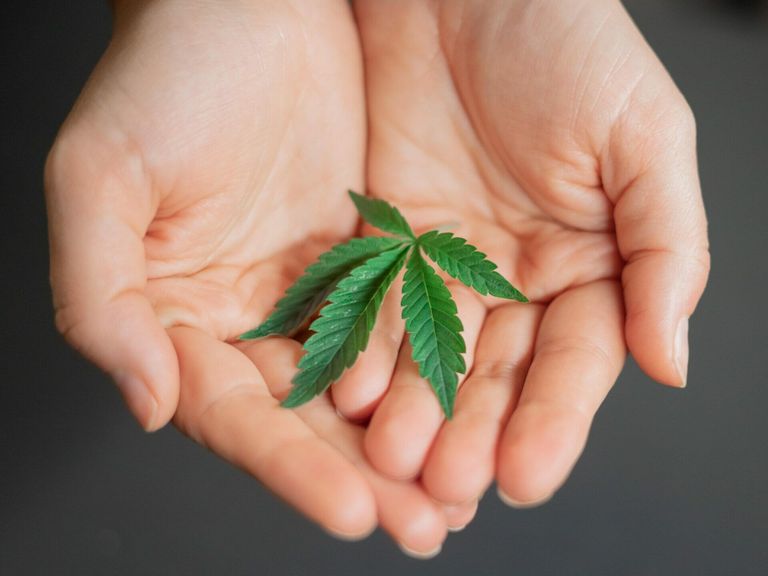 Rechtsfragen zu med. Cannabis, Interview mit Osborne Clarke
