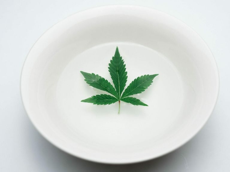 Cannabismessen in Deutschland