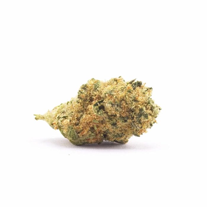 Kush-2.webp