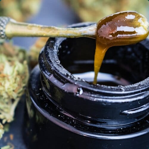 Live Rosin – Das Cannabis Frischeextrakt aus der Apotheke