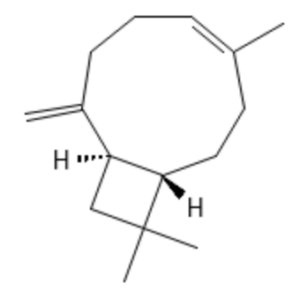 β-Caryophyllene