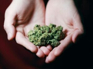 Patientenforen Cannabis