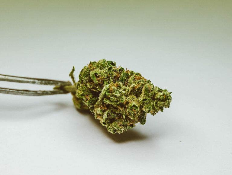 Aktivierung von Cannabisinhaltsstoffen: Decarboxylierung