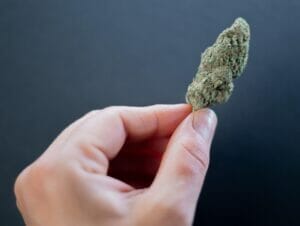 Cannabis bei MS