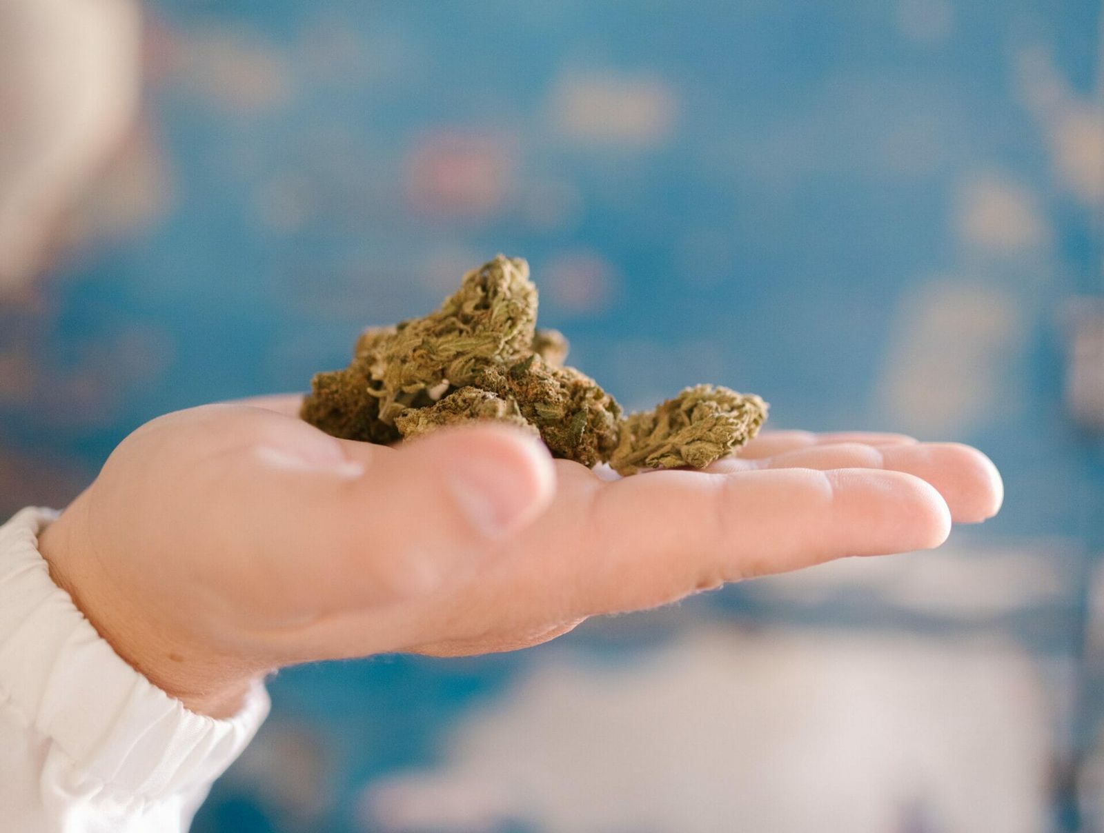 Cannabis Apotheke Berlin
