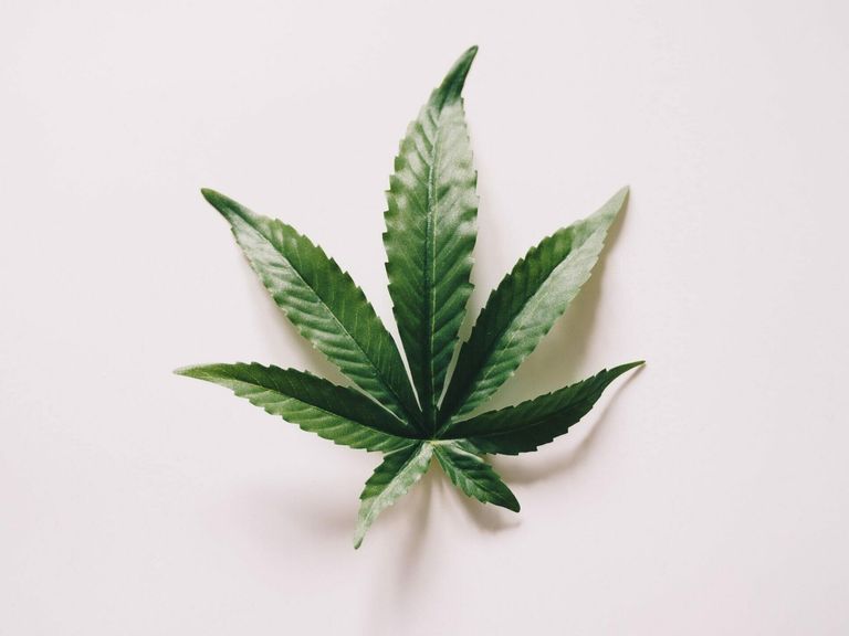 Gelato 33 und LOT 420 bald verfügbar