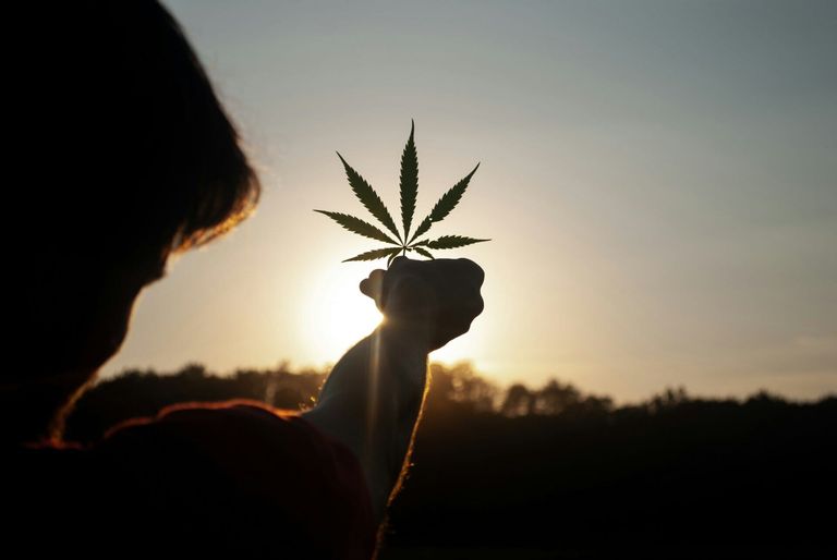 Sonnenuntergang. Ein Mann hält ein Cannabisblatt gegen die Sonne.