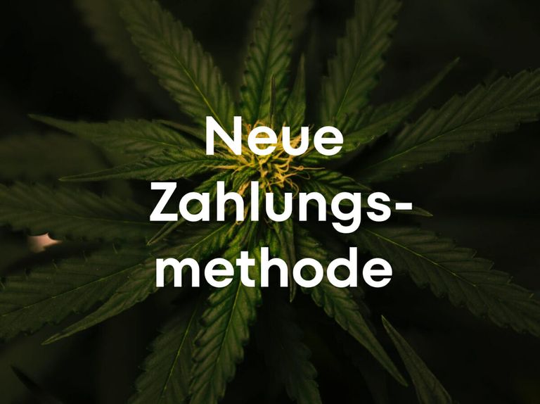 Neue Zahlungsmethode bei jiroo